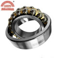 High Speed, High Load Self-Aligning Ball Bearings (1206)